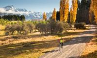 https://ebikemtbtoursnz.com/ image 3